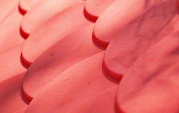 Rhenetra plastic roof costs