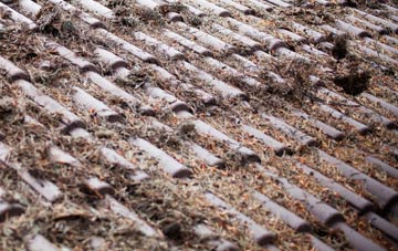 Rhenetra roof cleaning companies