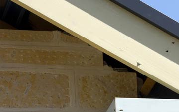 soffit repair Rhenetra
