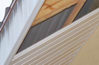 rated Rhenetra soffit repair companies